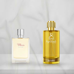 TERRE D'HERMES EAU GIVREE